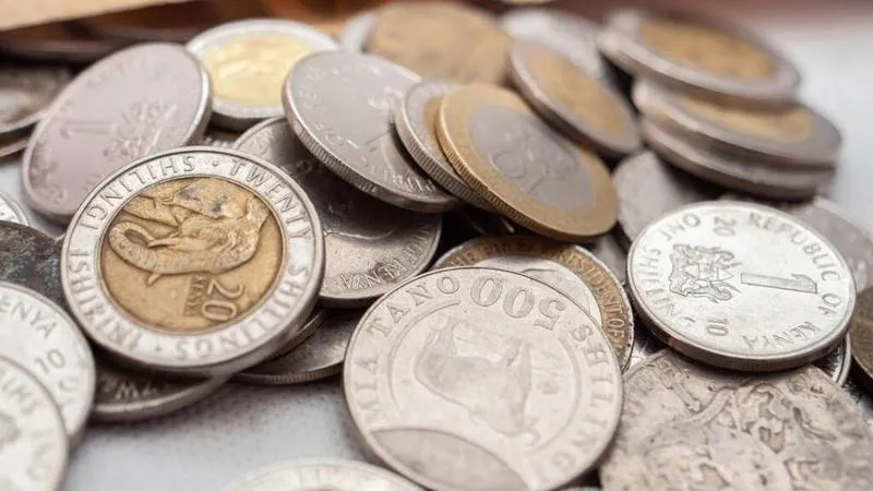 Kenya Safari Currency and Payment Guide