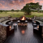 Kenya Safari Sustainable Tourism Guide