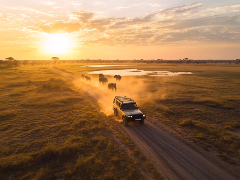 Kenya Safari Transportation Options