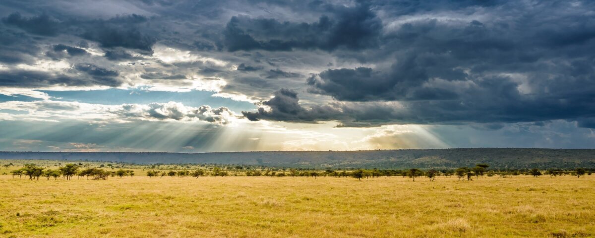 Kenya Safari Weather by Month