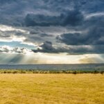 Kenya Safari Weather by Month