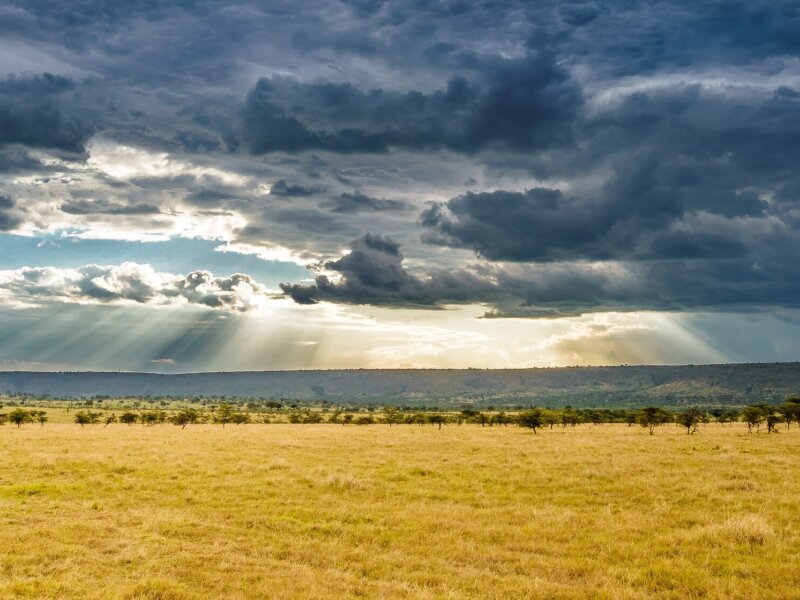 Kenya Safari Weather by Month