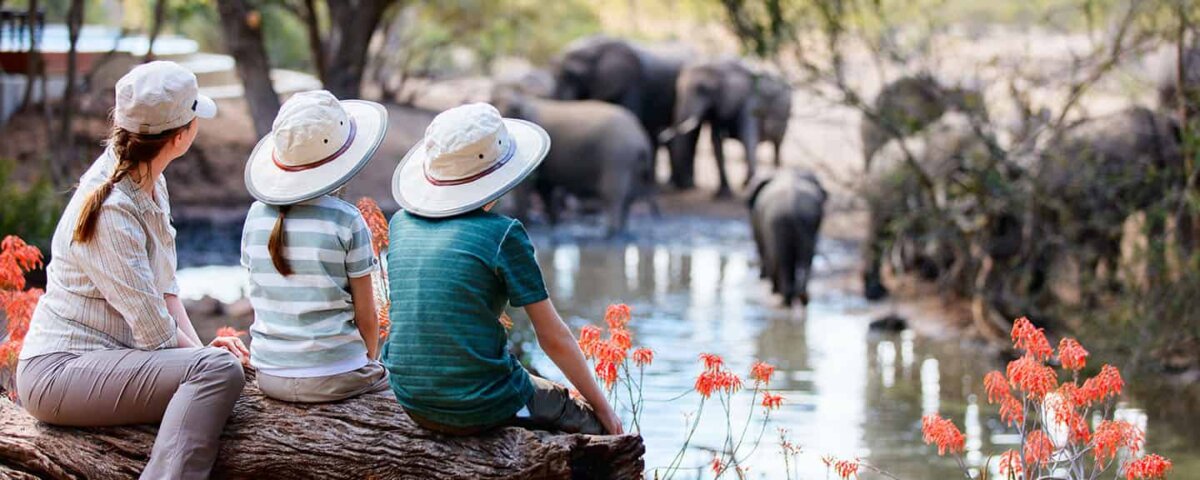 Kenya safari for families with kids: best parks, family lodges, safety tips, and travel advice for a fun and memorable safari.