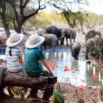 Kenya safari for families with kids: best parks, family lodges, safety tips, and travel advice for a fun and memorable safari.