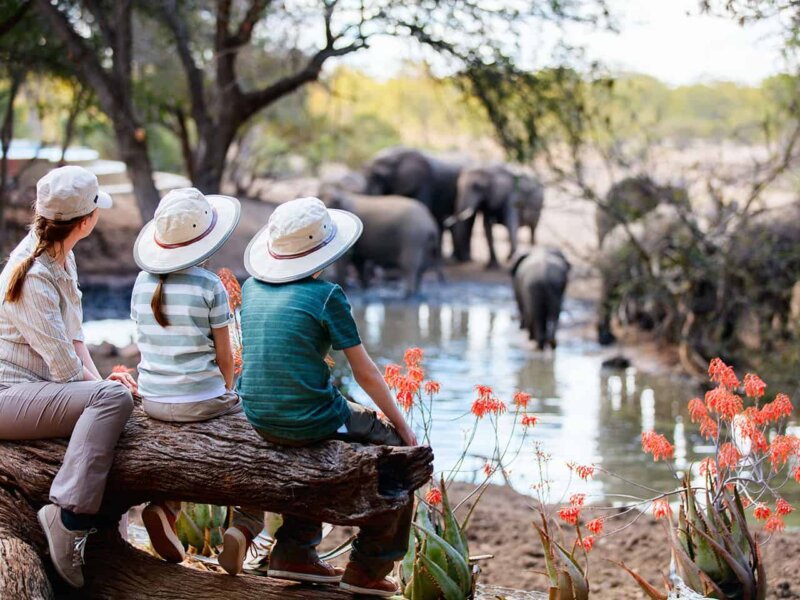 Kenya safari for families with kids: best parks, family lodges, safety tips, and travel advice for a fun and memorable safari.