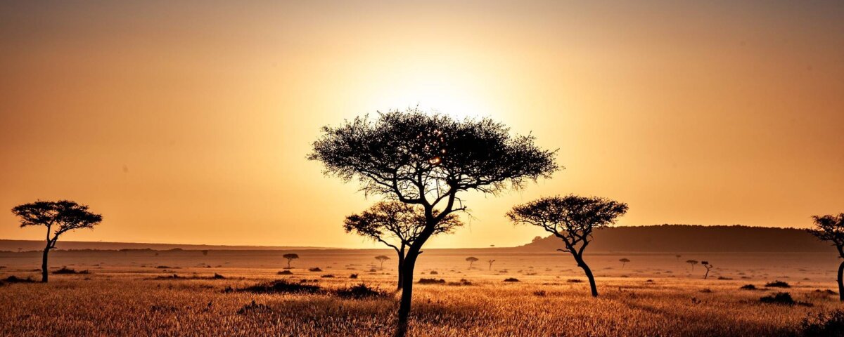 Kenya Safari for Nature Lovers