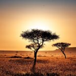 Kenya Safari for Nature Lovers