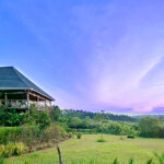 Kibale Canopy Lodge