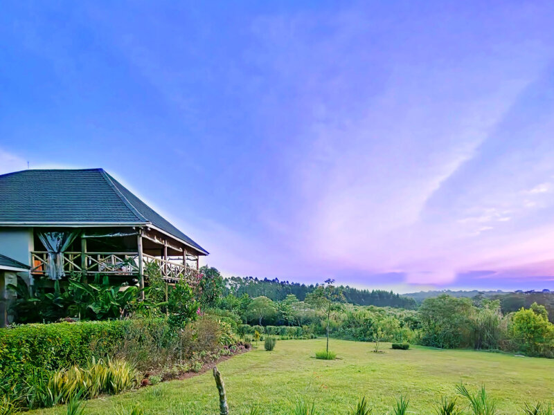 Kibale Canopy Lodge