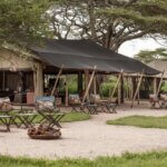 Tanzania Safari – An Adventure for Every Generation!