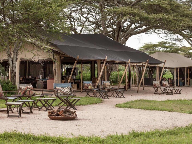 Tanzania Safari – An Adventure for Every Generation!