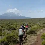 Top 10 Must-Do Activities in Moshi for Every Traveler