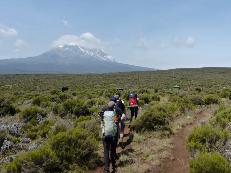 Top 10 Must-Do Activities in Moshi for Every Traveler
