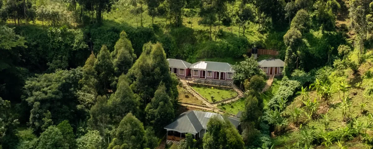 Mise Cave Lodge