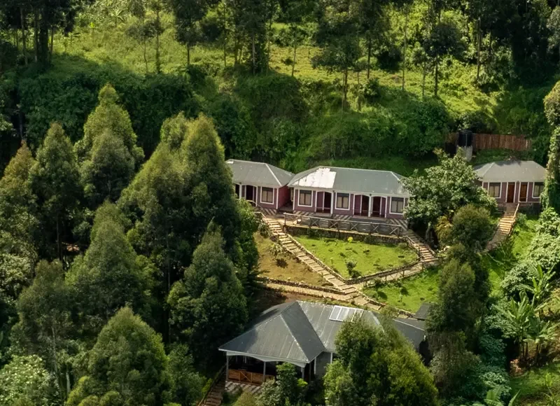 Mise Cave Lodge