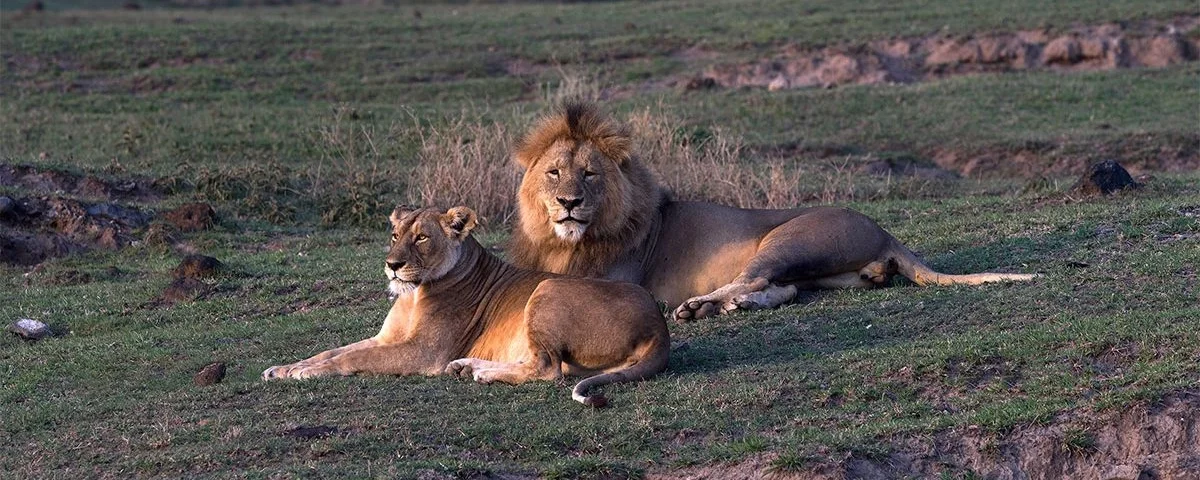The Crater With The Ngorongoro Safari Tours