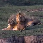 The Crater With The Ngorongoro Safari Tours
