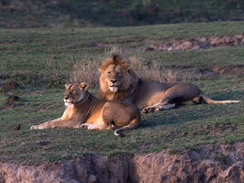 The Crater With The Ngorongoro Safari Tours
