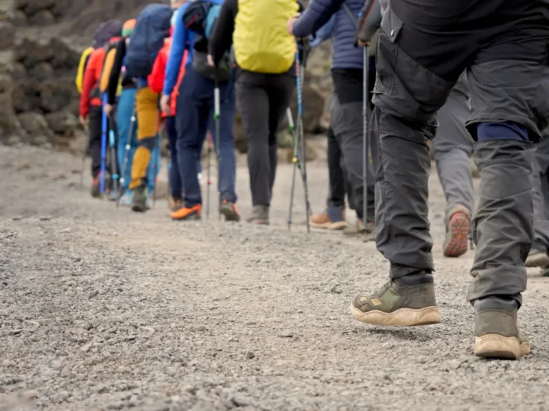 Best Hiking Boots for the Northern Circuit Route on Kilimanjaro
