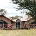 Pamoja Serengeti Luxury Camp