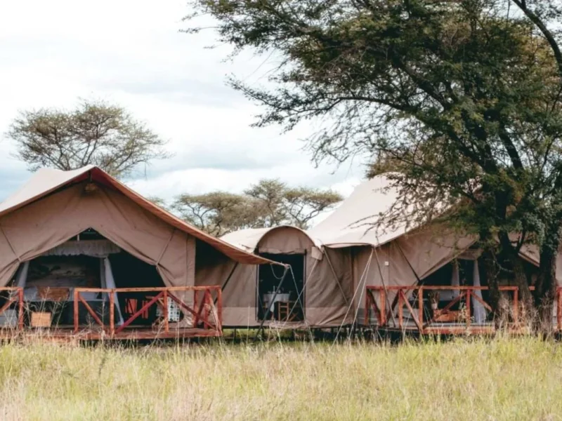 Pamoja Serengeti Luxury Camp