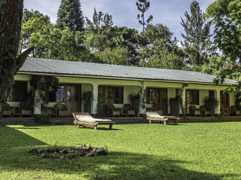 Rwenzori View Guesthouse
