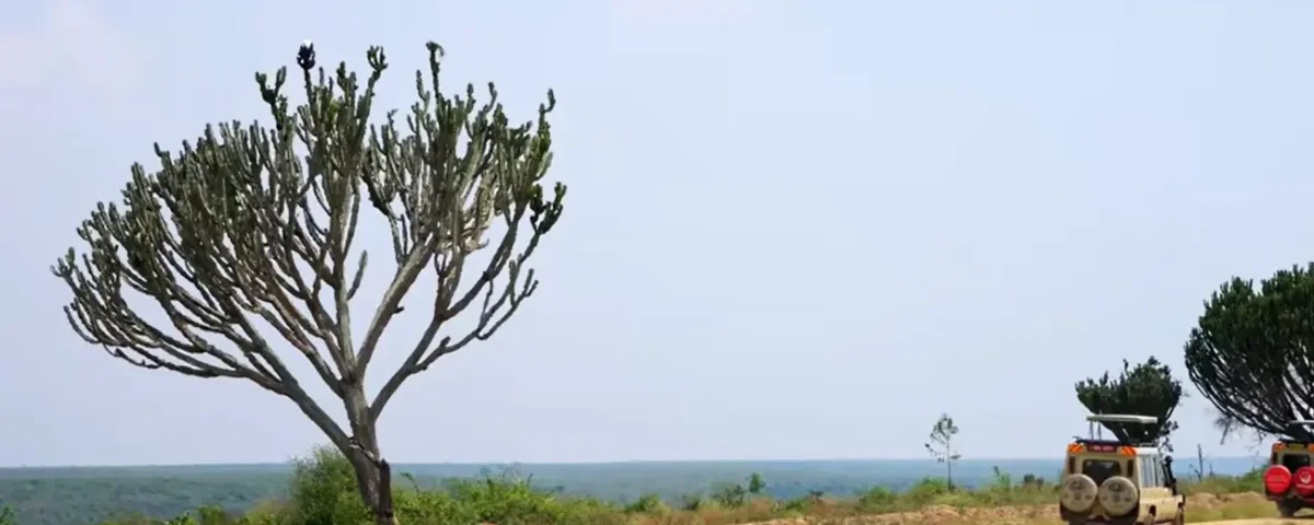 Tanzania Safari Safety