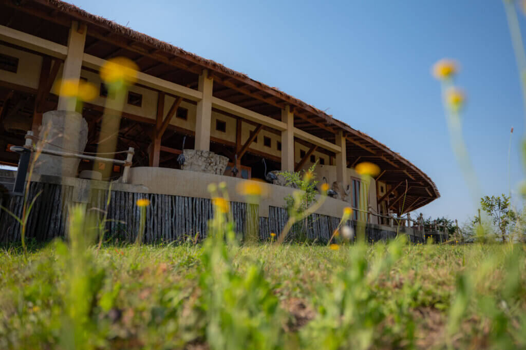 Serengeti Ark Safari Lodge