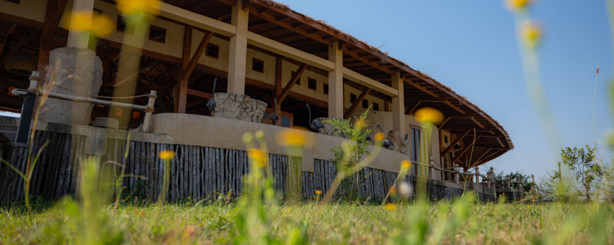 Serengeti Ark Safari Lodge