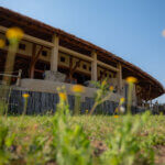 Serengeti Ark Safari Lodge