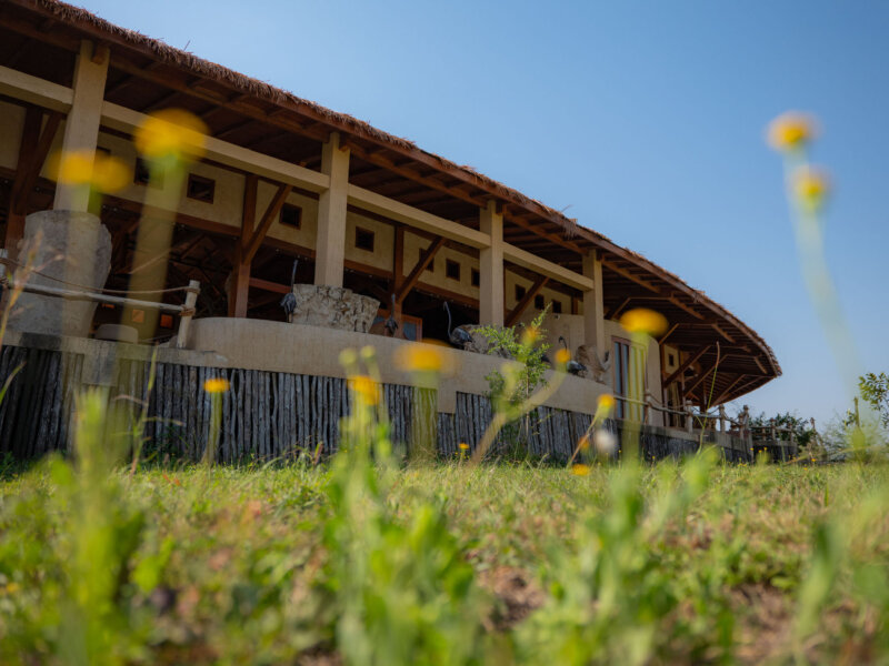 Serengeti Ark Safari Lodge