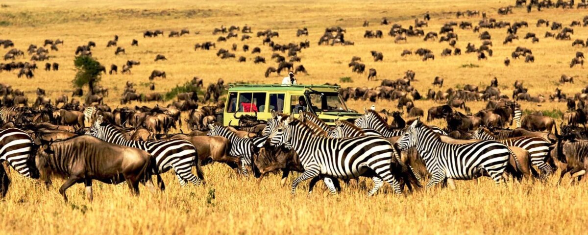 Serengeti Safari Duration