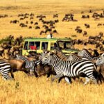 Serengeti Safari Duration