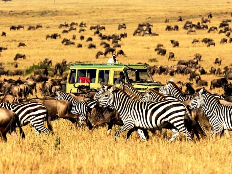 Serengeti Safari Duration