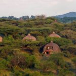 Serengeti Serena Safari Lodge