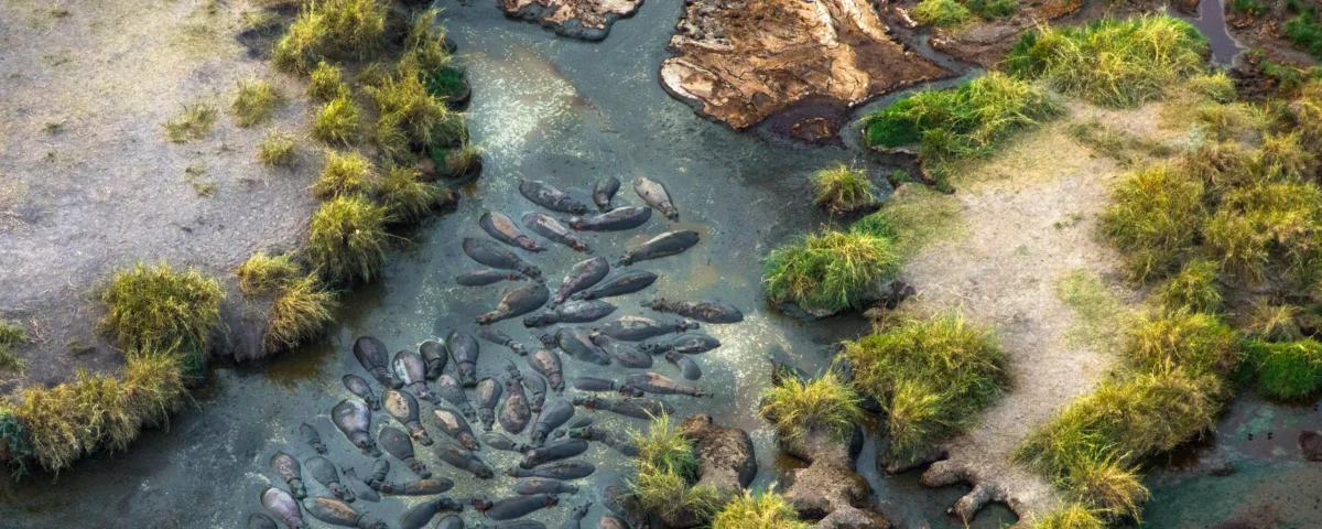 Things to Do in Tanzania Beyond Wildlife Safaris