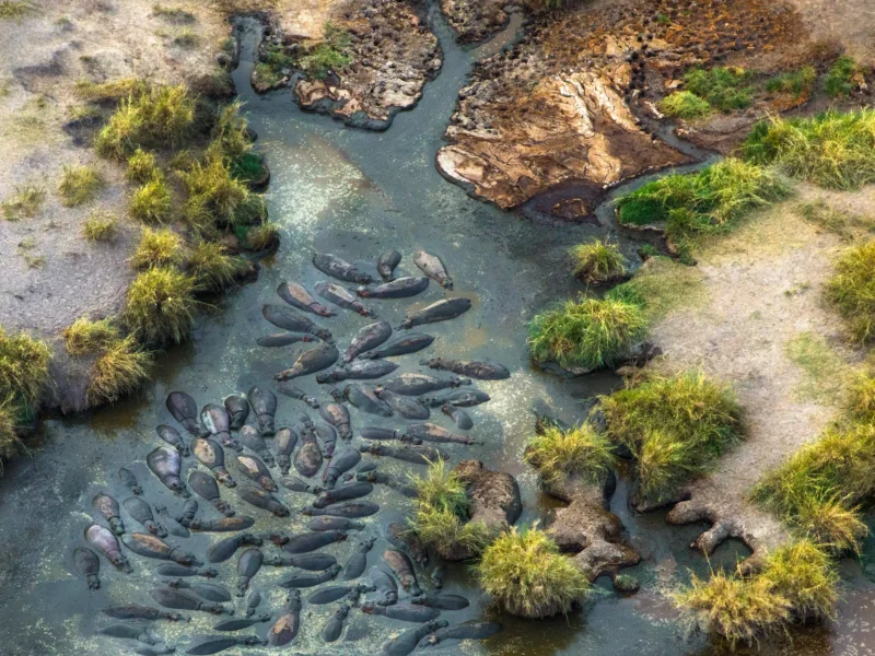 Things to Do in Tanzania Beyond Wildlife Safaris