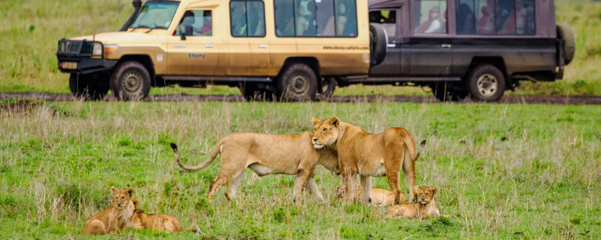 Best Luxury Tanzania Safaris from the USA in 2026