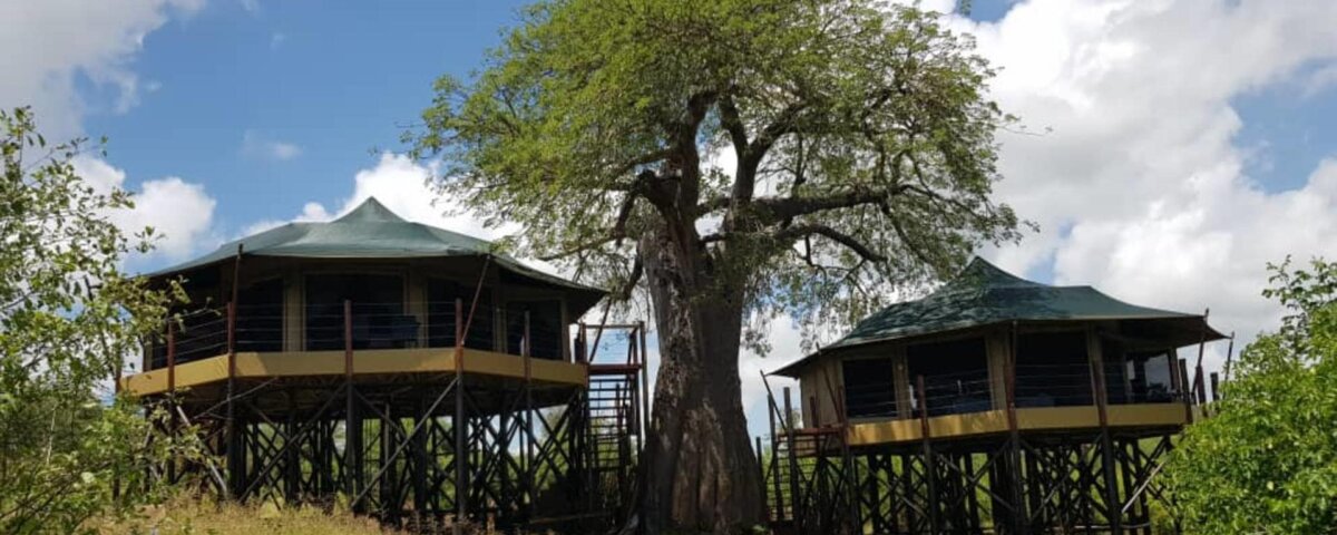 Tarangire Kuro Treetops Lodge