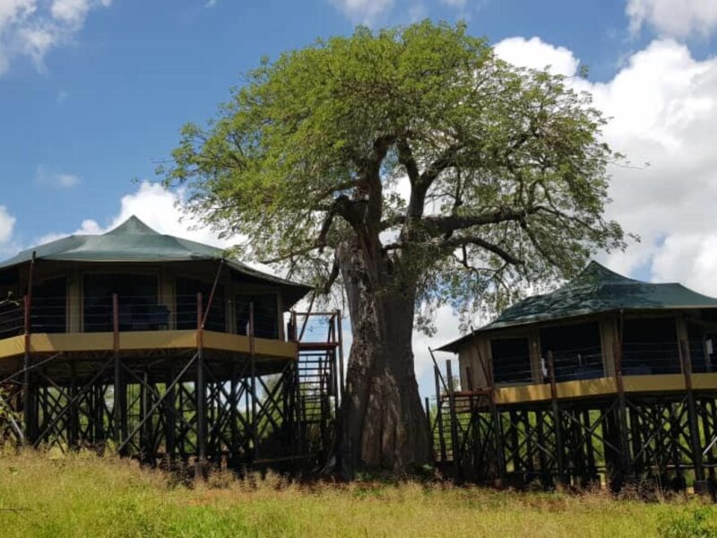Tarangire Kuro Treetops Lodge