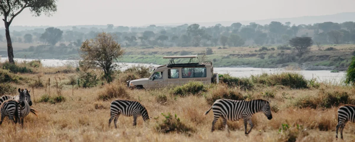 Tanzania Safari Holidays