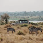 Tanzania Safari Holidays