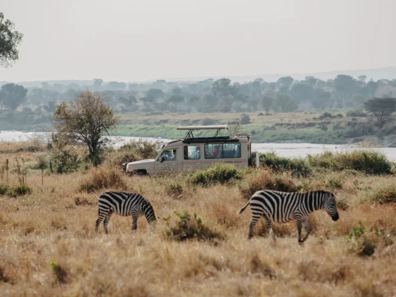 Tanzania Safari Holidays