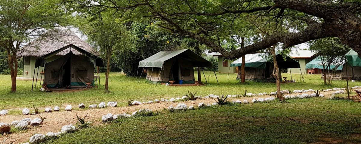 UWA Bandas and Campsites