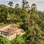 Uganda gorilla trekking eco lodges