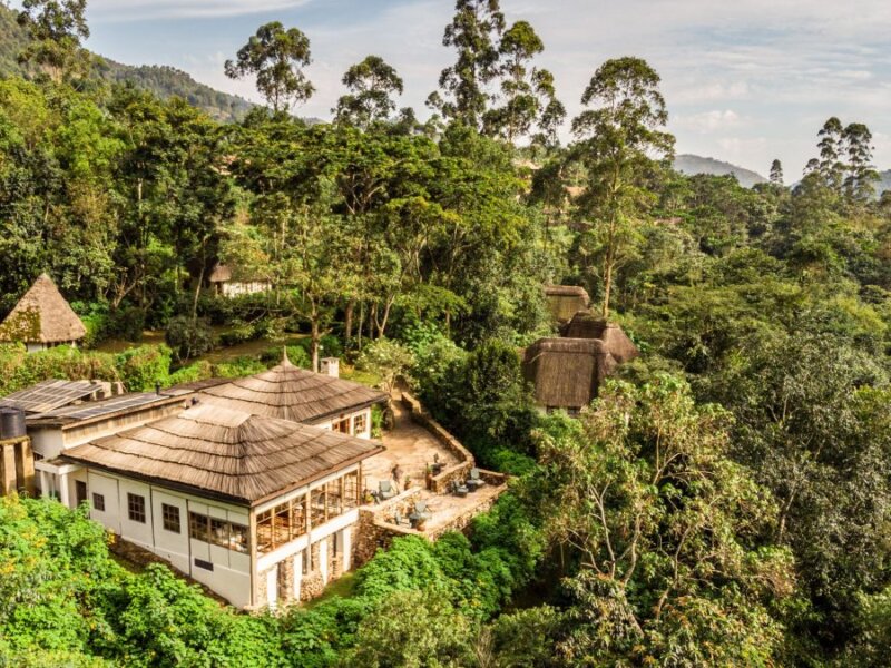 Uganda gorilla trekking eco lodges