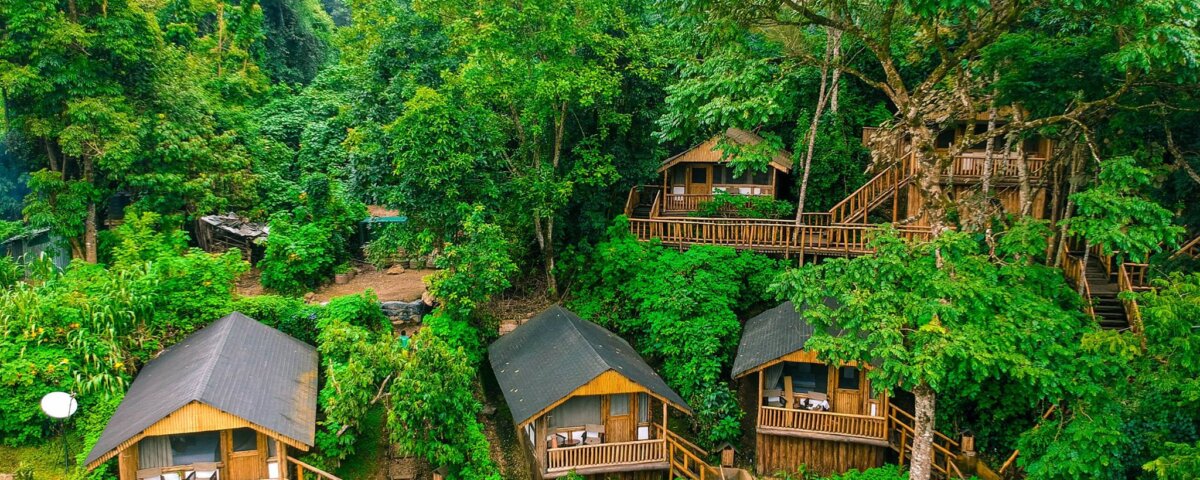 Uganda gorilla trekking luxury lodges