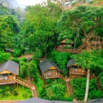 Uganda gorilla trekking luxury lodges