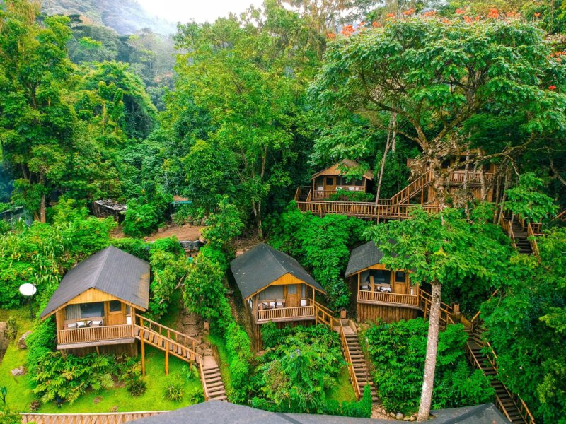 Uganda gorilla trekking luxury lodges