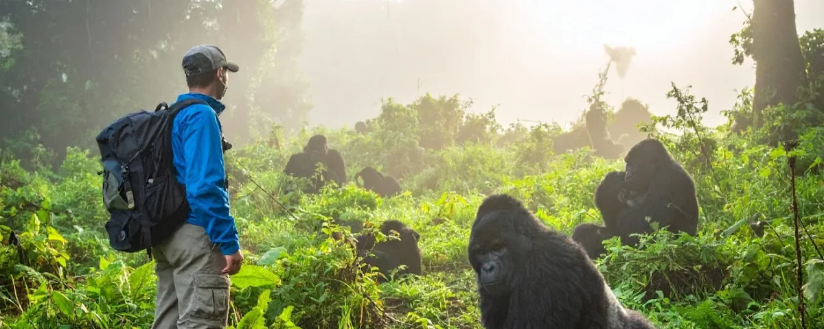 Uganda gorilla trekking rain season tips